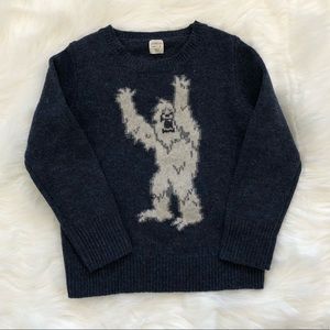 Boys Size 12 Crewcuts Yeti wool blend sweater